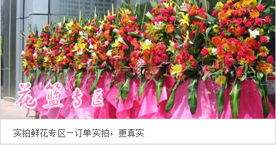 開(kāi)業(yè)花籃專區(qū)